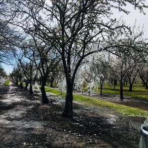 Meet your Posher, Alejandra